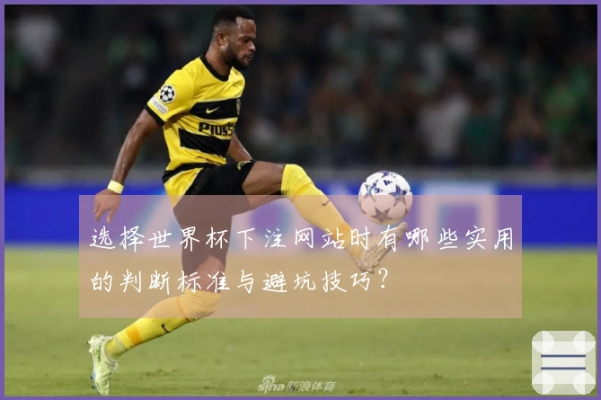 选择世界杯下注网站时有哪些实用的判断标准与避坑技巧？