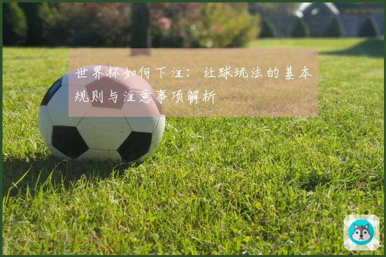 世界杯如何下注：让球玩法的基本规则与注意事项解析