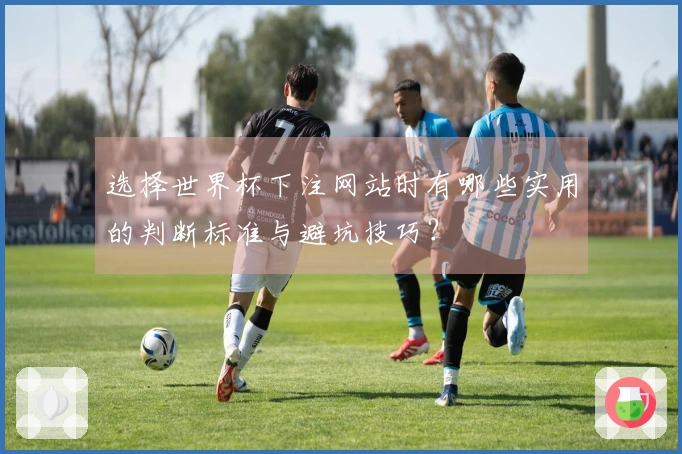 选择世界杯下注网站时有哪些实用的判断标准与避坑技巧？