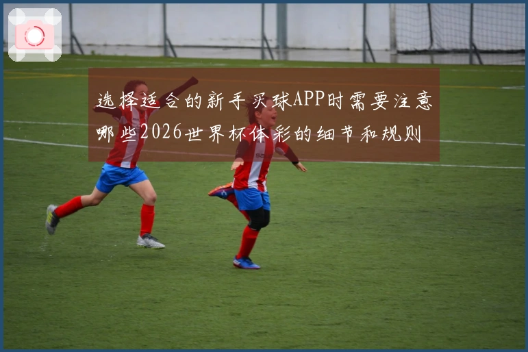选择适合的新手买球APP时需要注意哪些2026世界杯体彩的细节和规则