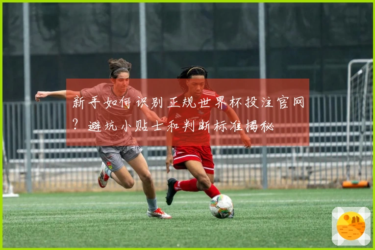 新手如何识别正规世界杯投注官网？避坑小贴士和判断标准揭秘