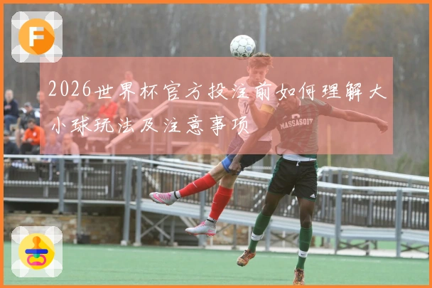 2026世界杯官方投注前如何理解大小球玩法及注意事项